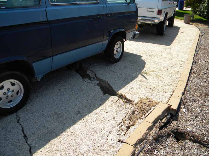 Cracked Sidewalk